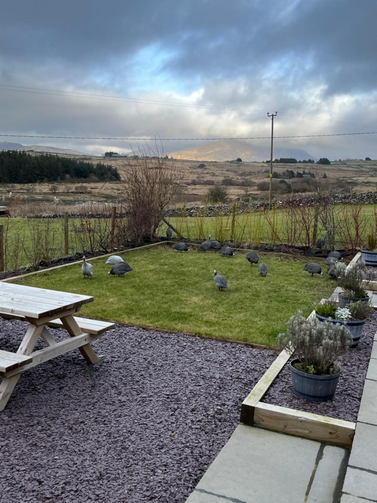Villa Hedd Wen Llanllyfni Exterior foto